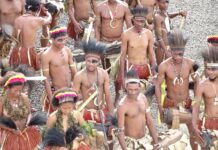 Co najczęściej piją Amerykanie? Co najczęściej piją Amerykanie?